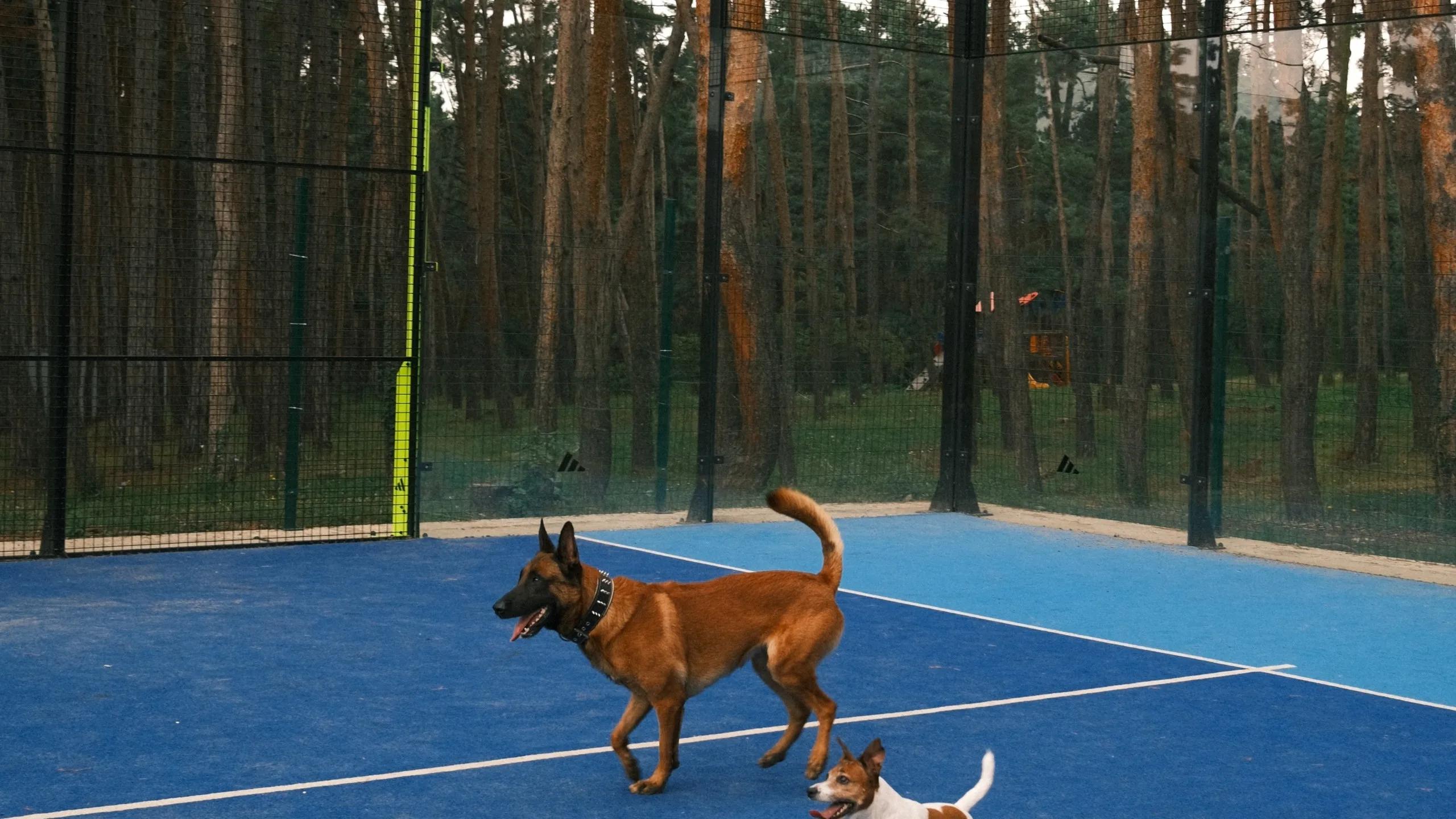 Gpadel Tskneti 4